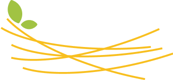 section plane